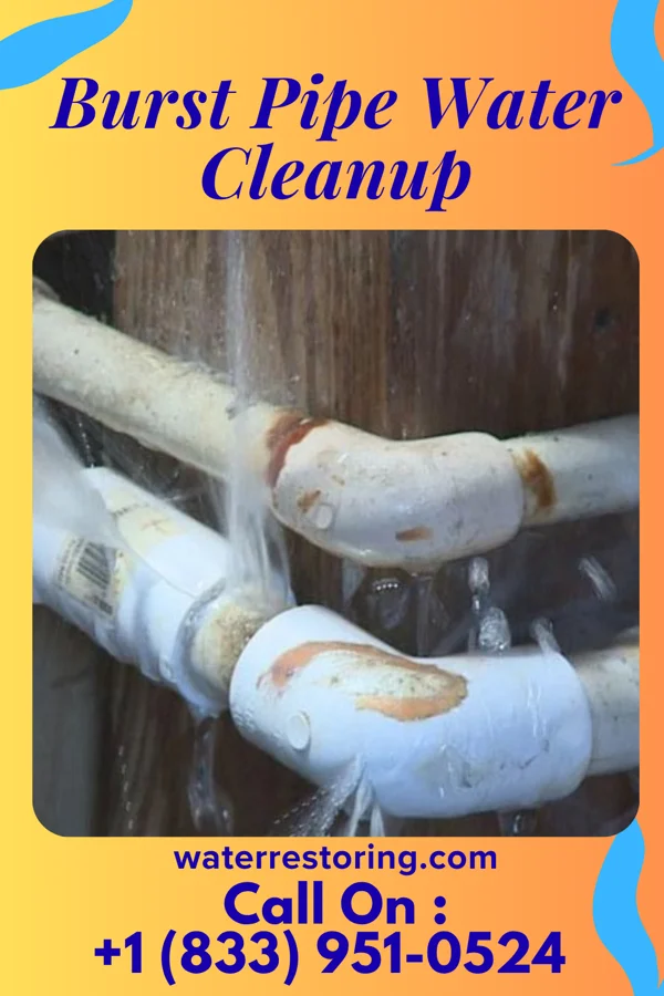 Burst Pipe Water Cleanup in Dupont, PA