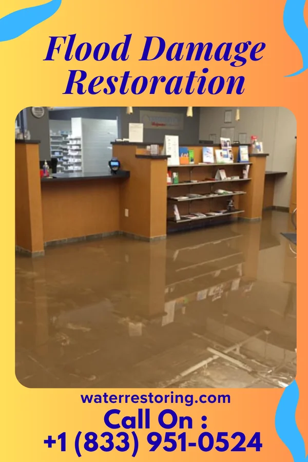 Flood Damage Restoration in Dupont, PA