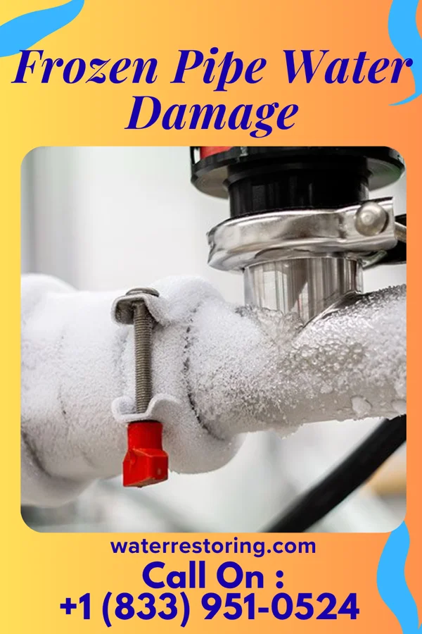 Frozen Pipe Water Damage in Dupont, PA