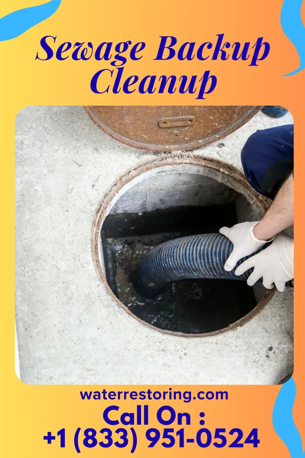 Sewage Backup Cleanup in Dupont, PA