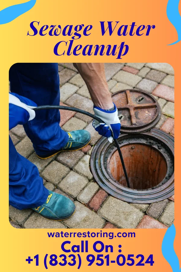 Sewage Water Cleanup in Dupont, PA